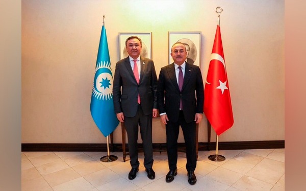 TDT-nin rəhbəri Türkiyənin XİN başçısı ilə görüşüb