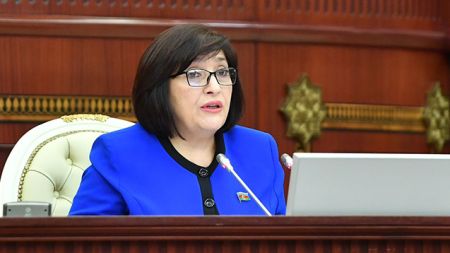 “Dövlət büdcəsi və gəlirləri hər il artır” - Sahibə Qafarova
