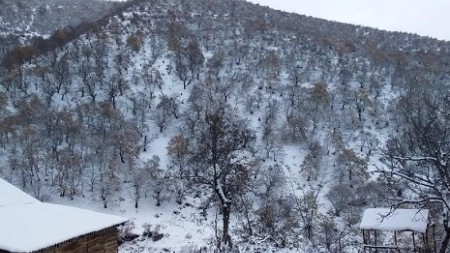Azərbaycanın bəzi ərazilərinə qar yağıb - FAKTİKİ HAVA