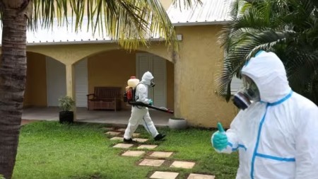 Reunionda çikungunya epidemiyasından ölənlərin sayı bu üç yeni ölümlə daha da artır