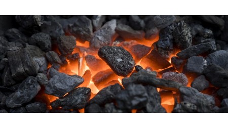 Kömürün sonu? Sənaye keçidində Polşanın enerji sektoru