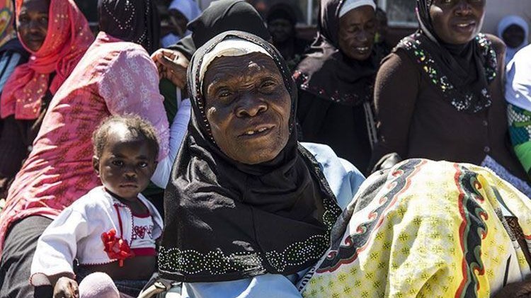 Zimbabve: GPS yaxası ilə təchiz edilmiş fillər kəndlilərin təhlükəsizliyini təmin edir