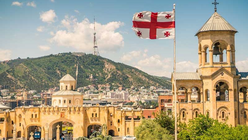 Gürcüstan: İkinci müxalifət lideri bir neçə gün ərzində həbs edilib
