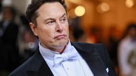 Elon Musk DOGE-yə rəhbərlik edərkən narkotik qəbul etmədiyini sübut etmək üçün hər şeyi etməyə hazırdır