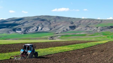 Torpaq sahələrinin icarəyə verilməsinə dair yeni qaydalar müəyyənləşir