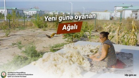 Yeni günə oyanan Ağalı - VİDEO