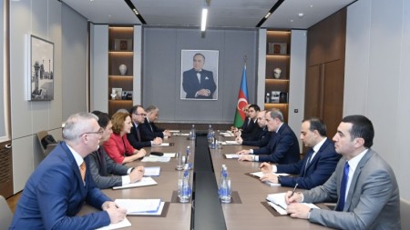 Ceyhun Bayramov Elena Şekerletovanı qəbul edib