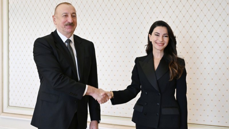 İlham Əliyev Gürcüstanın iqtisadiyyat və davamlı inkişaf nazirini qəbul edib - FOTOLAR