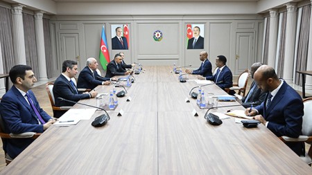 Əli Əsədov Somalinin XİN rəhbəri ilə görüşdü