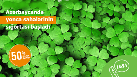 Yonca sahələrinin sığortalanması prosesinə start verilib 