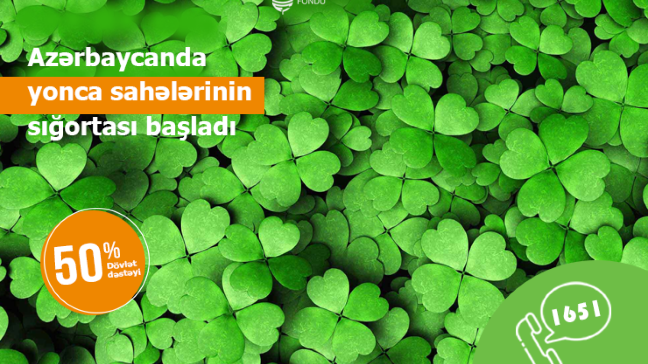 Yonca sahələrinin sığortalanması prosesinə start verilib 