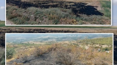 Füzuli və Xocavənddə yanğın törədən şəxslər məsuliyyətə cəlb olunublar