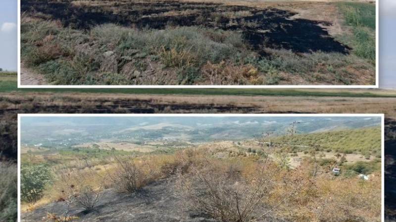 Füzuli və Xocavənddə yanğın törədən şəxslər məsuliyyətə cəlb olunublar