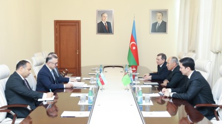 Səhiyyə Nazirliyində Türkmənistanın nümayəndə heyəti ilə görüş keçirildi