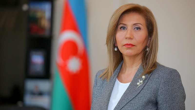 Komitə sədri: Yeni bilik və vərdişlər qazanılmasa müasir dünyanın inkişaf tempinə uyğunlaşa bilmərik