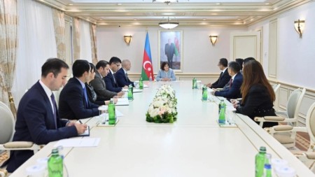 Sahibə Qafarova TÜRKPA-nın yeni Baş katibini qəbul edib