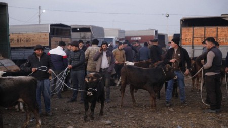 Bu gündən heyvan bazarları müvəqqəti BAĞLANIR