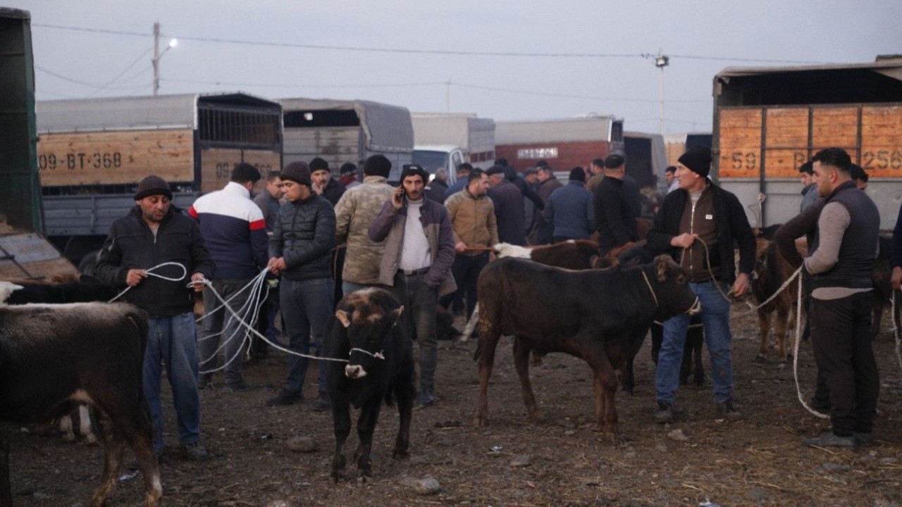 Bu gündən heyvan bazarları müvəqqəti BAĞLANIR