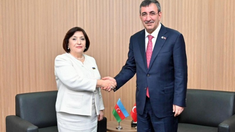 Sahibə Qafarova Türkiyənin Vitse-prezidenti ilə görüşdü