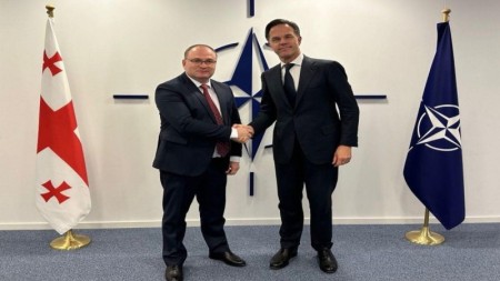 Gürcüstan-NATO əməkdaşlığı müzakirə olundu