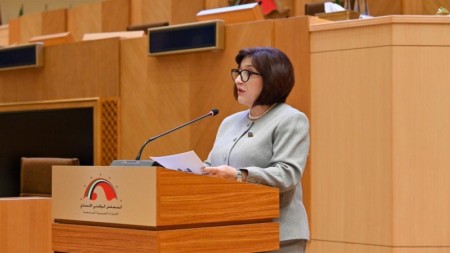 Sahibə Qafarova ADPA-da çıxış etdi