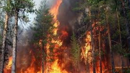 “Bədənlərimiz bunun bədəlini ödəyir”: Pataqoniyada yanğınsöndürənlər yanğınlara və sərtliyə qarşı çıxırlar