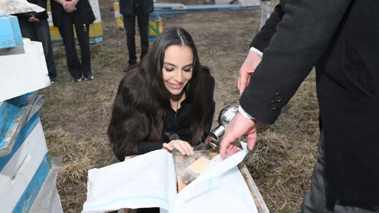 Leyla Əliyeva Qubada arıçı ailəsinin qonağı oldu - FOTOLAR