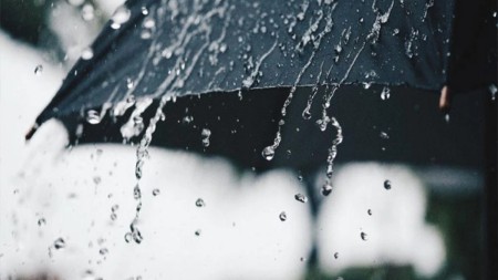 Azərbaycanda bu halda İŞ DAYANDIRILMALIDIR 