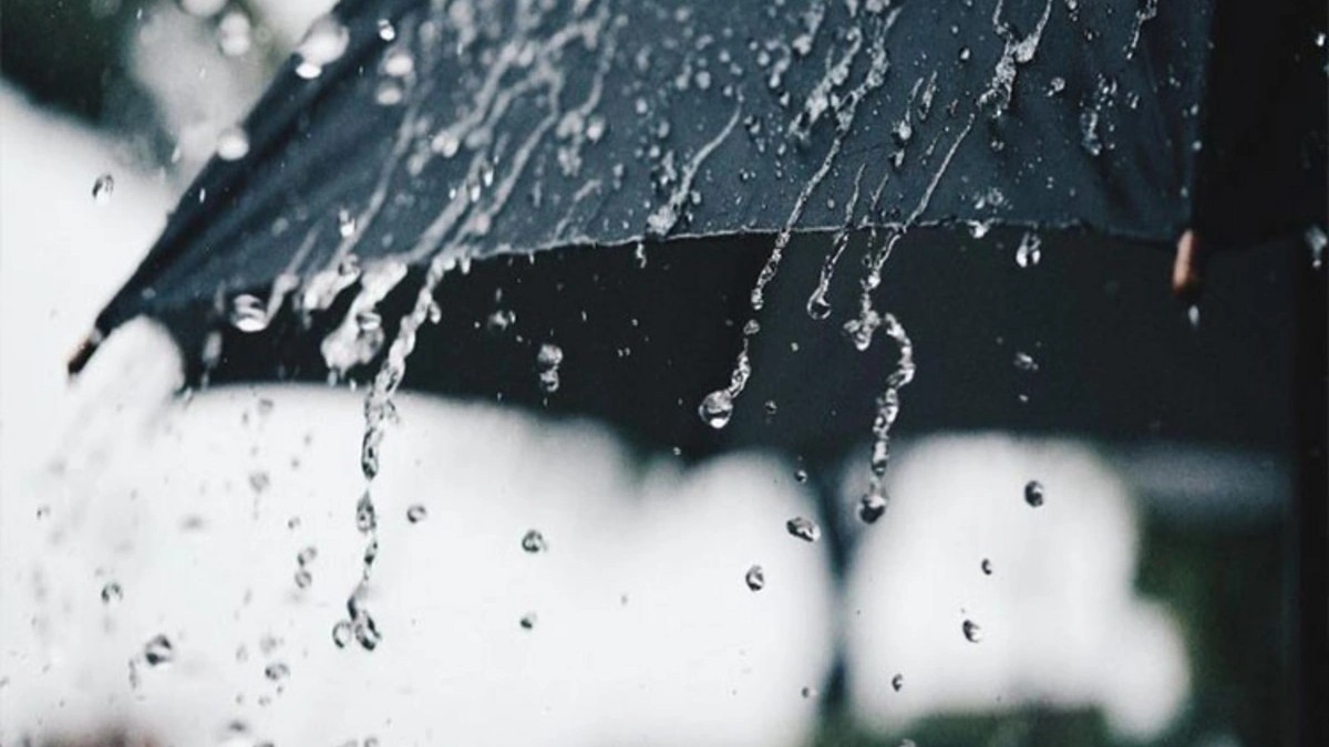 Azərbaycanda bu halda İŞ DAYANDIRILMALIDIR 