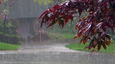 Bu yerlərə intensiv yağış yağacaq - Bu günün havası 