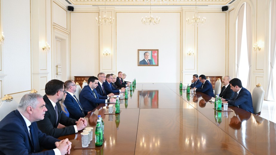 Prezident Rixard Raşini qəbul etdi - FOTOLAR