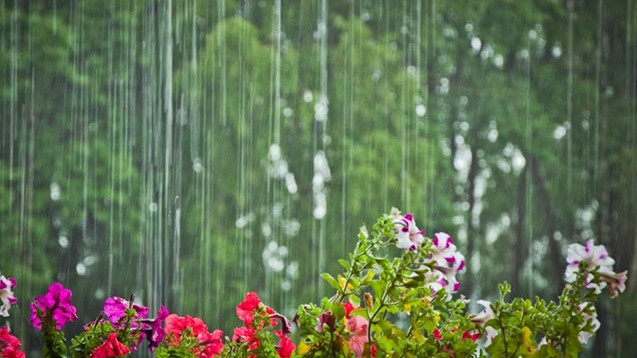 Yağıntılı hava şəraiti nə vaxtadək davam edəcək?