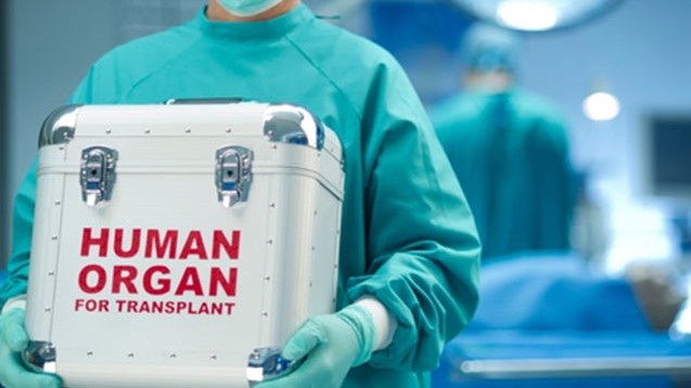 Baş nazirdən sümük iliyi transplantasiyası ilə bağlı - Qərar