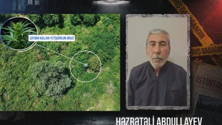 Çay sahilində çətənə kolu yetişdirən şəxs saxlanıldı - VİDEO