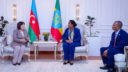 Sahibə Qafarova Efiopiyaya gedib
