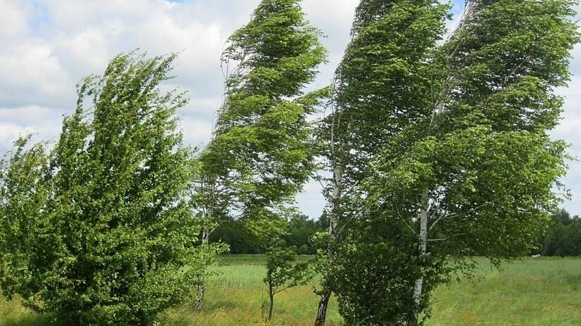 Milli Hidrometeorologiya Xidmətindən xəbərdarlıq