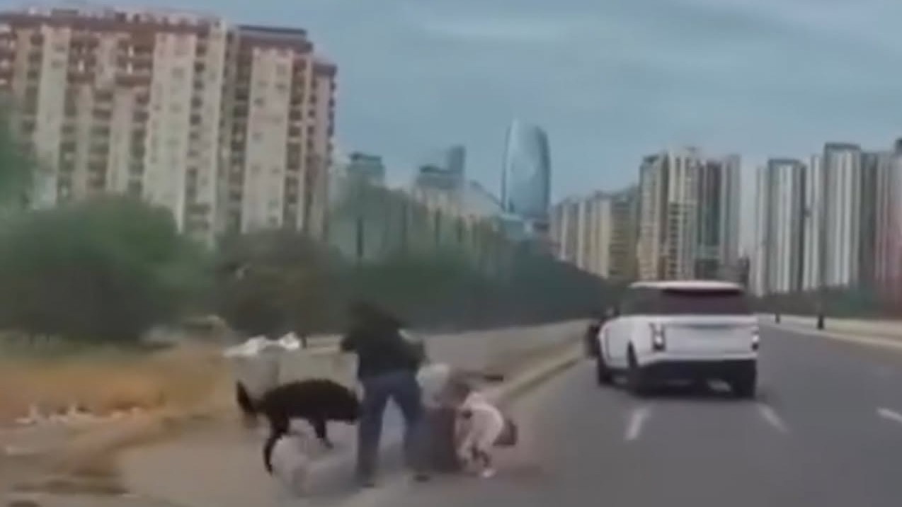 Bakıda sahibsiz it uşaqlı qadına hücum etdi - VİDEO