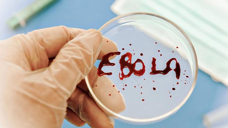 Konqoda Ebola peyvəndinin sınaqlarına başlanılıb